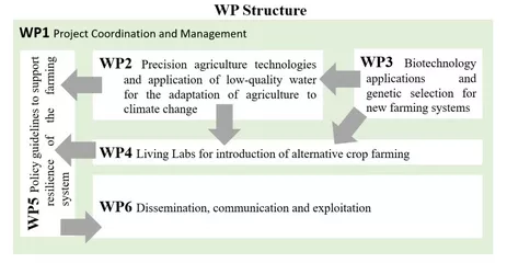 Figure: All WPs and their relations