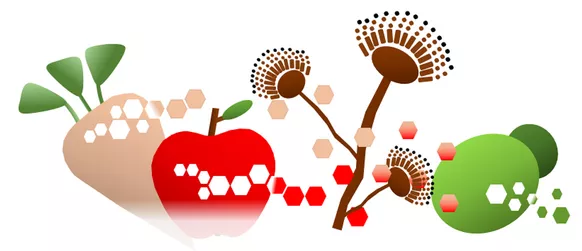 Projektschema: Pilzbasierte Freisetzung und Biotransformation von D-Galakturonsäure aus Zuckerrübenschnitzeln und Apfeltrester