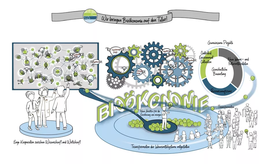 Graphic visualisation of the NewFoodSystems innovation space