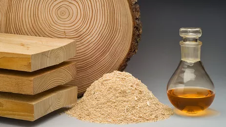 Vom Baum bis zum Extraktstoff
