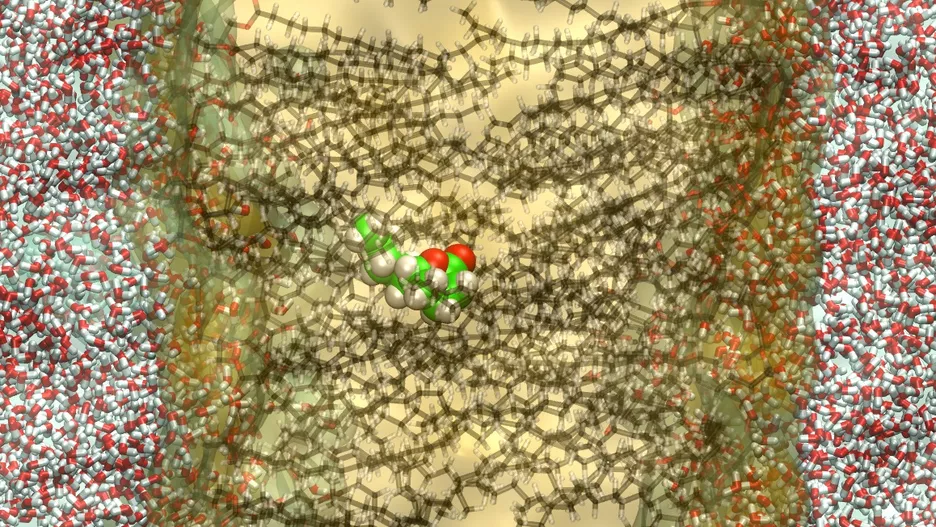 Snapshot of a molecular dynamics simulation of an aroma molecule (green) at the interface between<br />
water and butterfat.